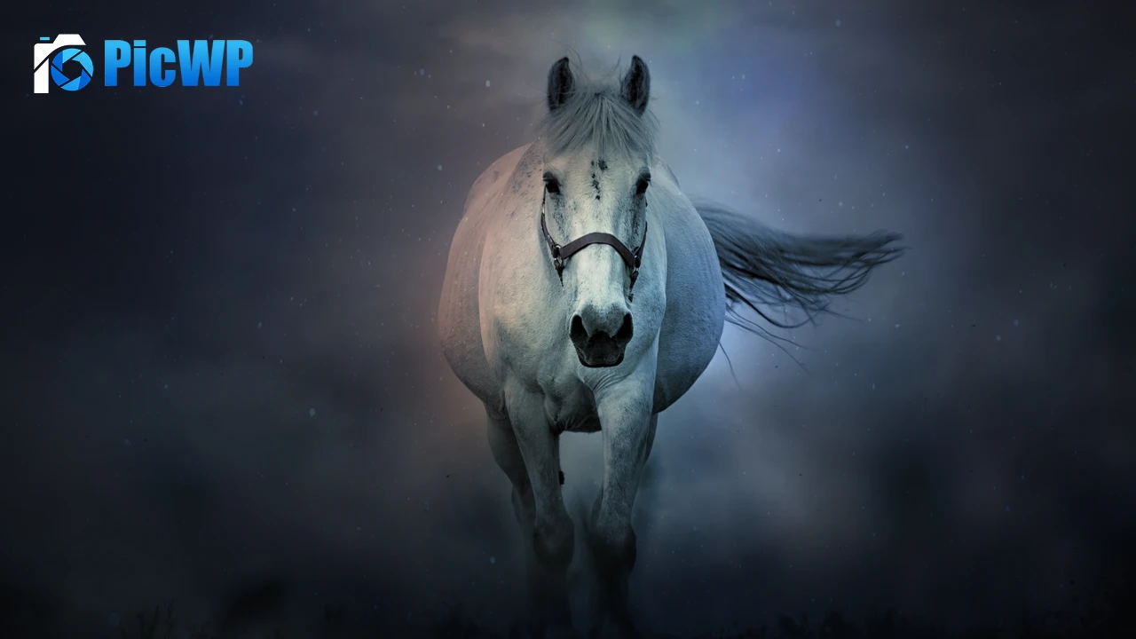 White horse Running Horse 4K PC Wallpaper