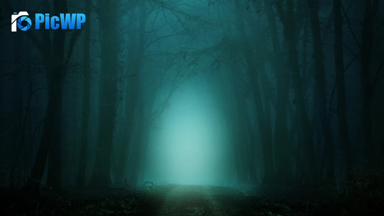 Morning Forest 4K PC Wallpaper