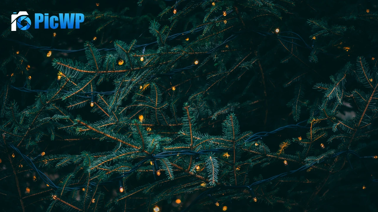 Pine trees Decoration 4K PC Wallpaper