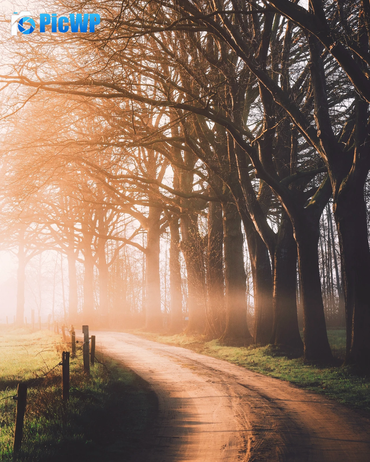 Autumn Dirt road 4K Mobile Wallpaper