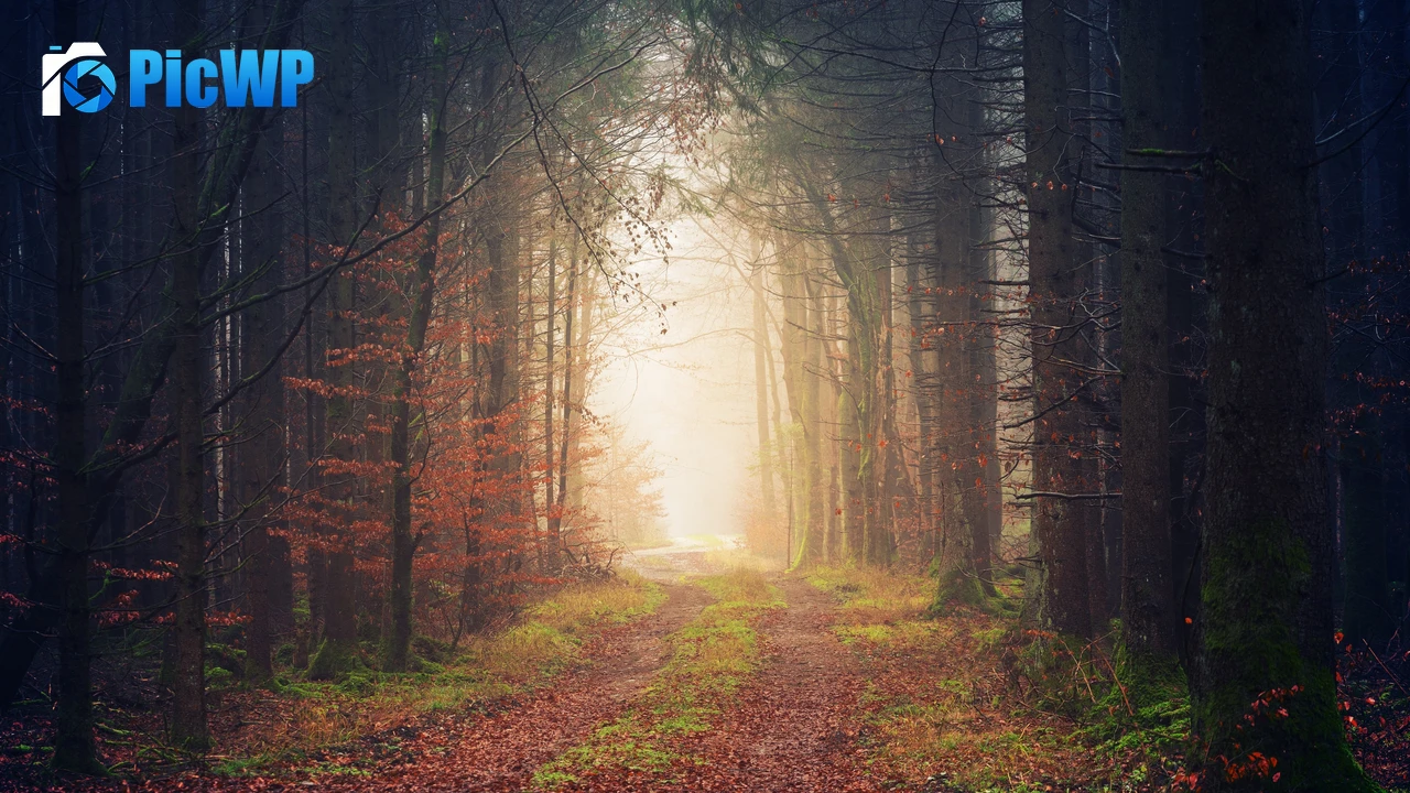 Autumn Atmosphere 4K PC Wallpaper