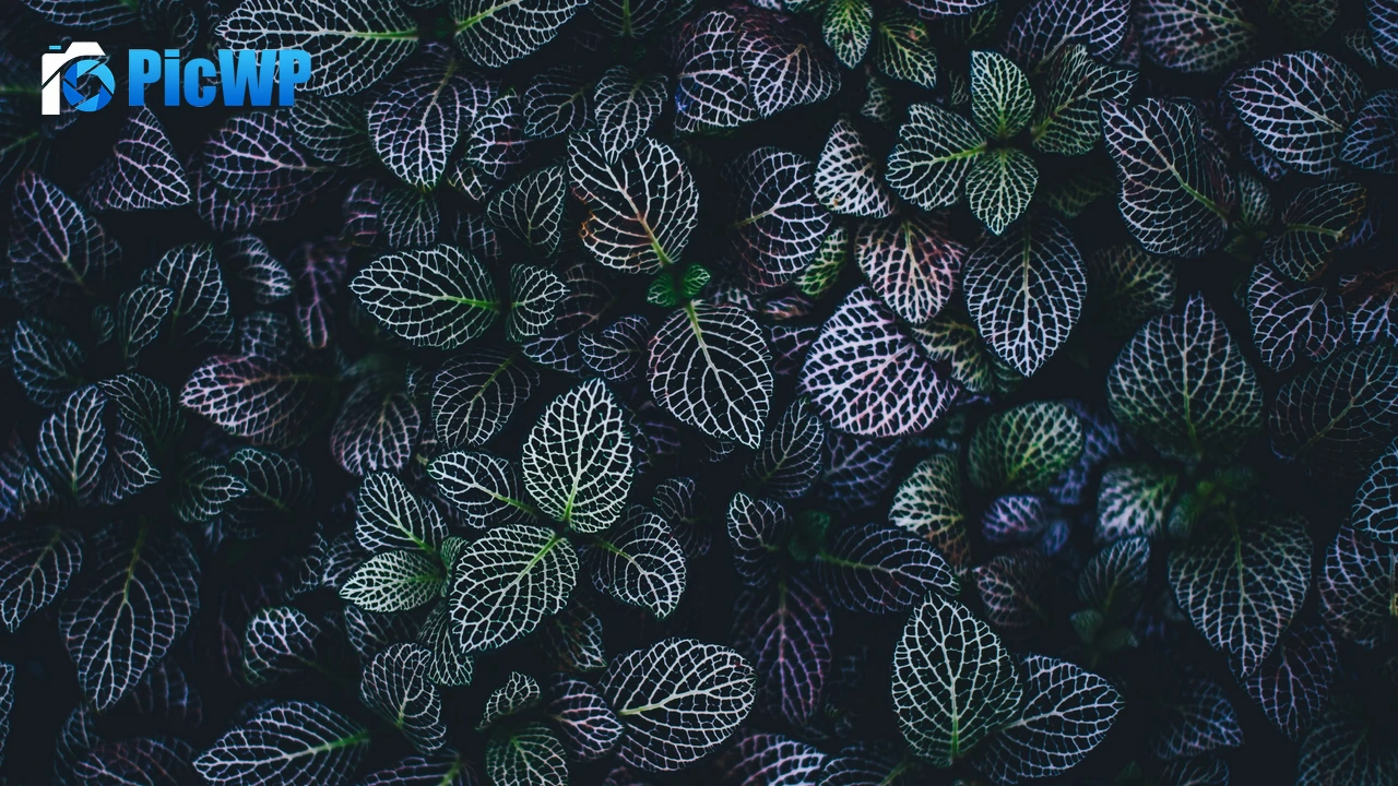 Leaves Plant 4K PC Wallpaper