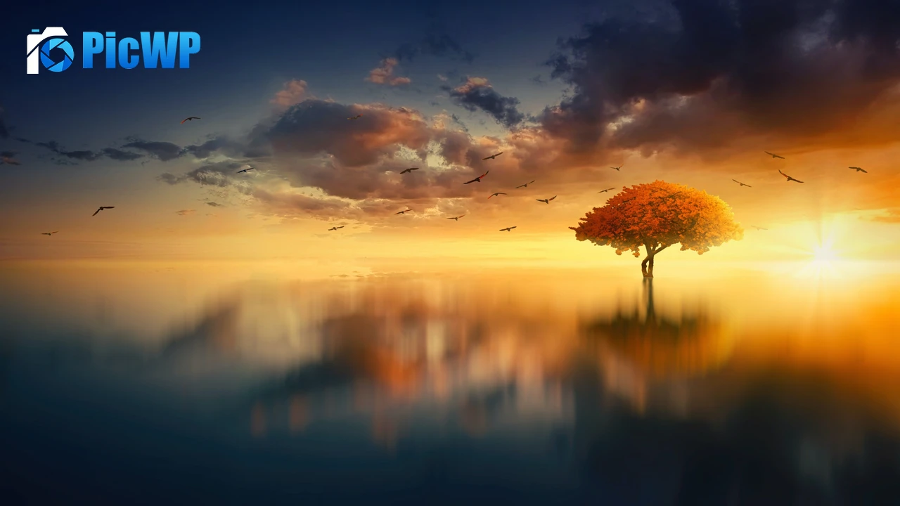 Tree Sunrise 4K PC Wallpaper