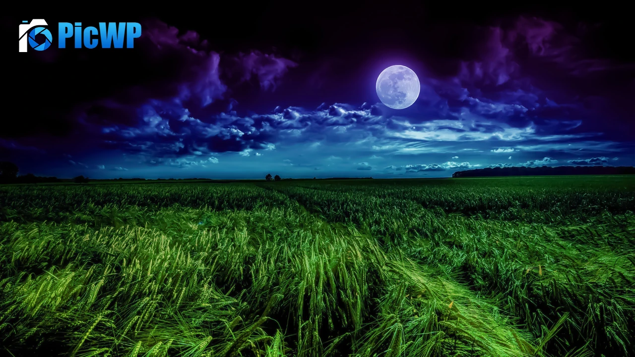 Moon Landscape 4K PC Wallpaper