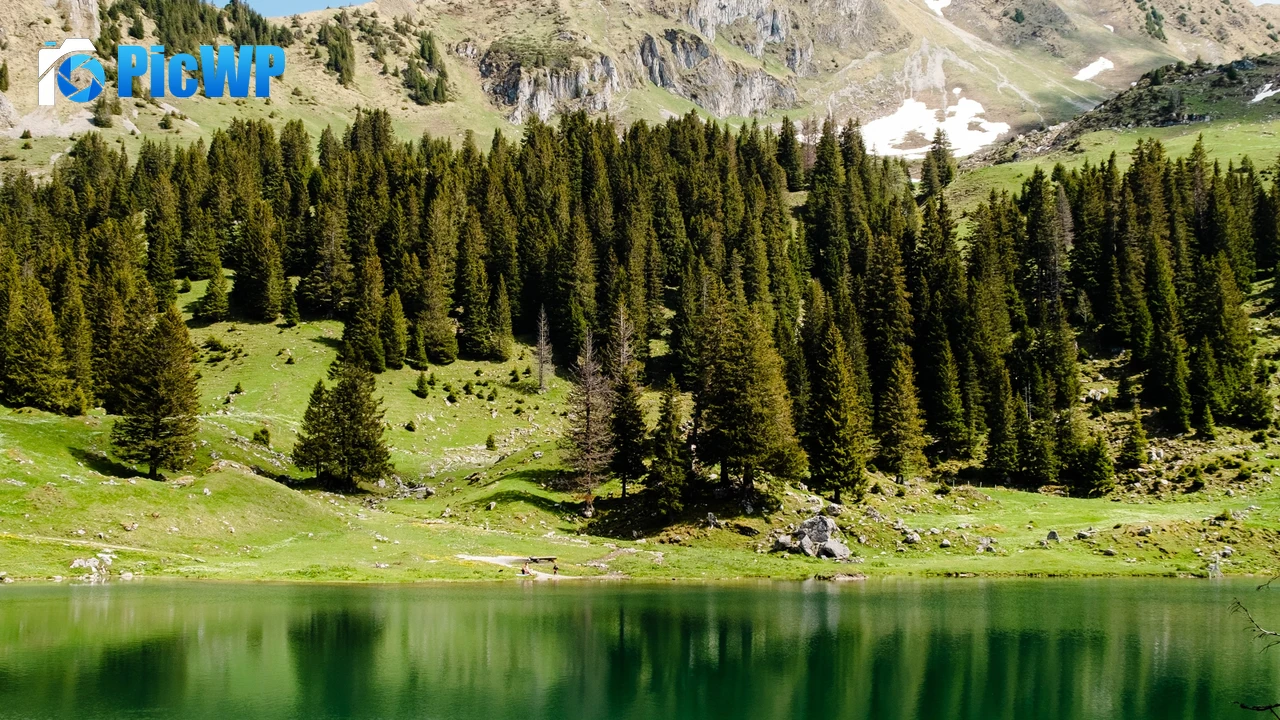 Gantrischseeli lake Pine trees 4K PC Wallpaper