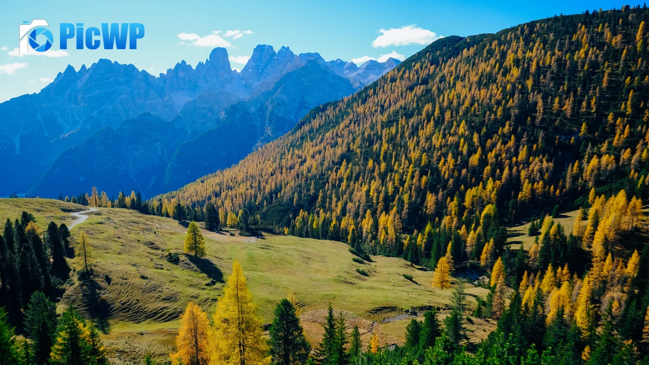 Sunny day Landscape 4K PC Wallpaper