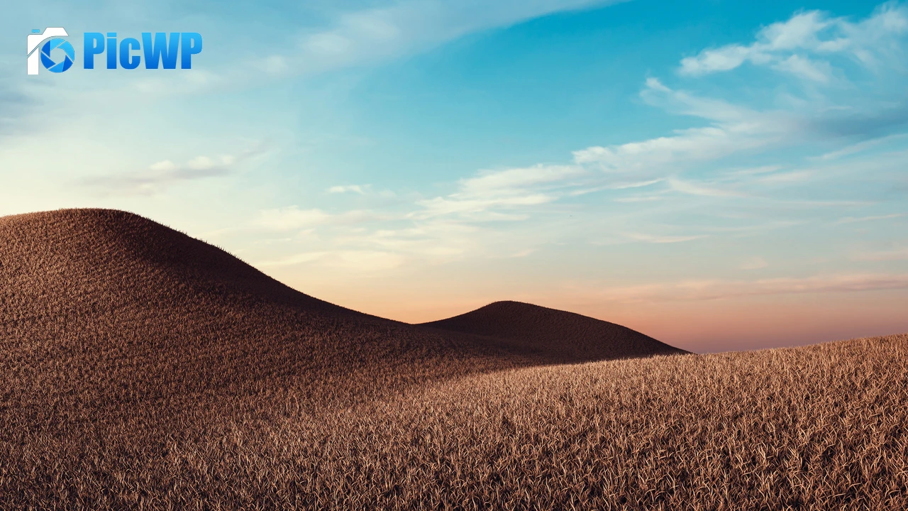 Dry fields Sunny day 4K PC Wallpaper