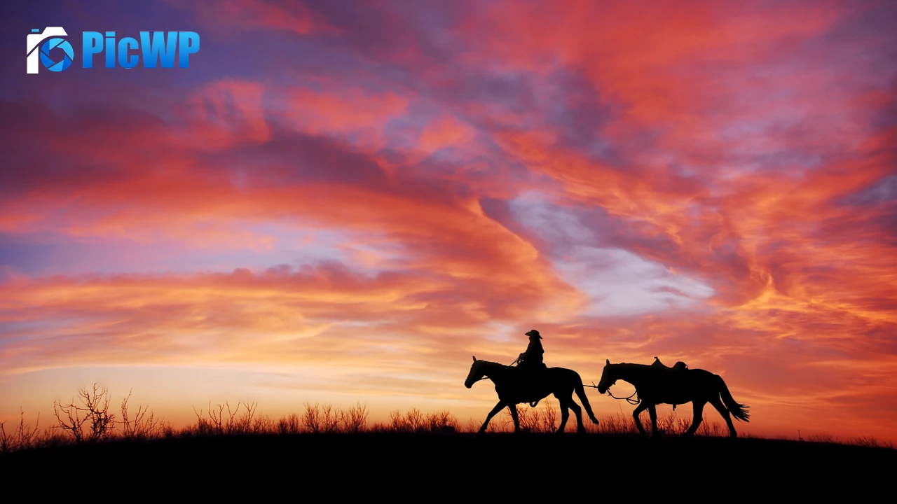 Cowboy Horses 4K PC Wallpaper