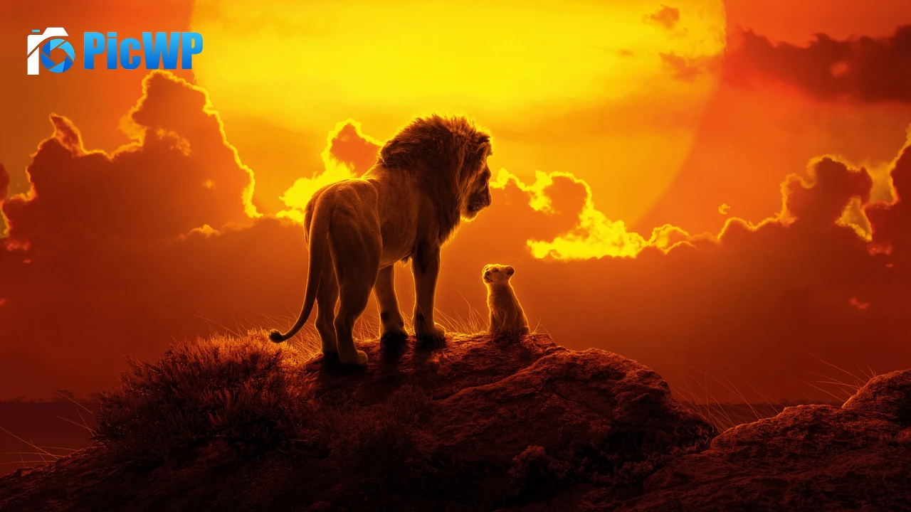 The Lion King Simba 4K PC Wallpaper