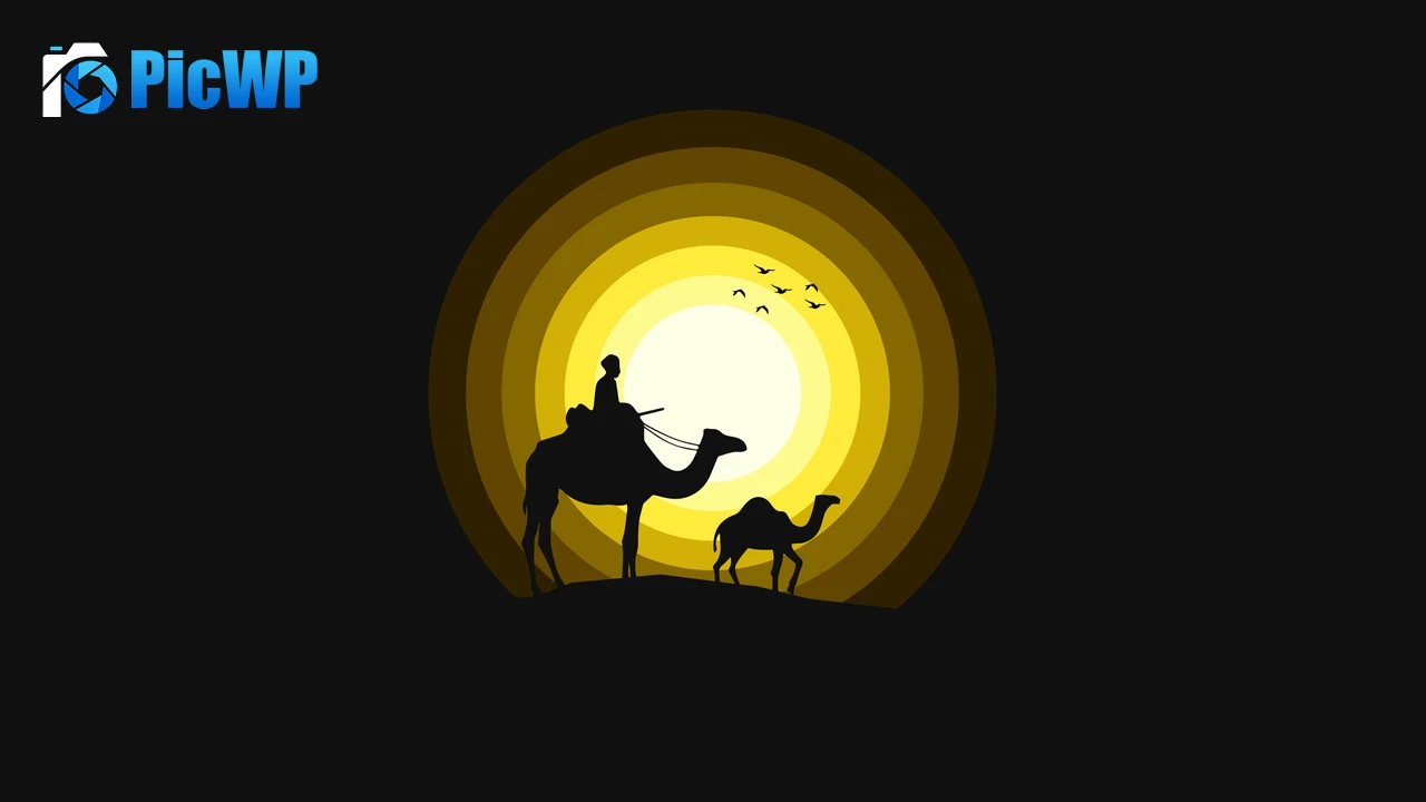 Camels Sun 4K PC Wallpaper