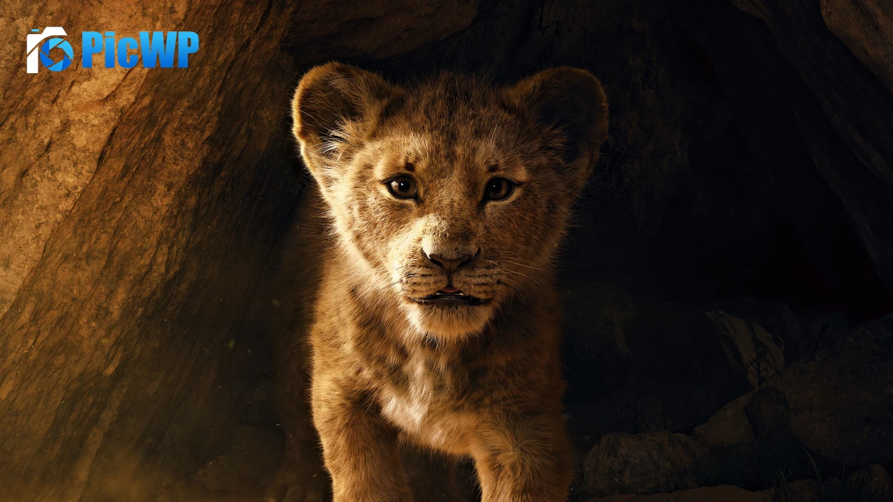Simba The Lion King 4K PC Wallpaper
