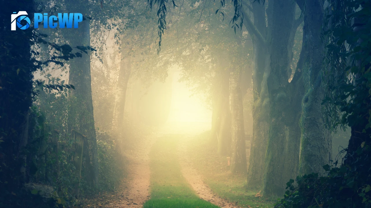 Foggy Path 4K PC Wallpaper
