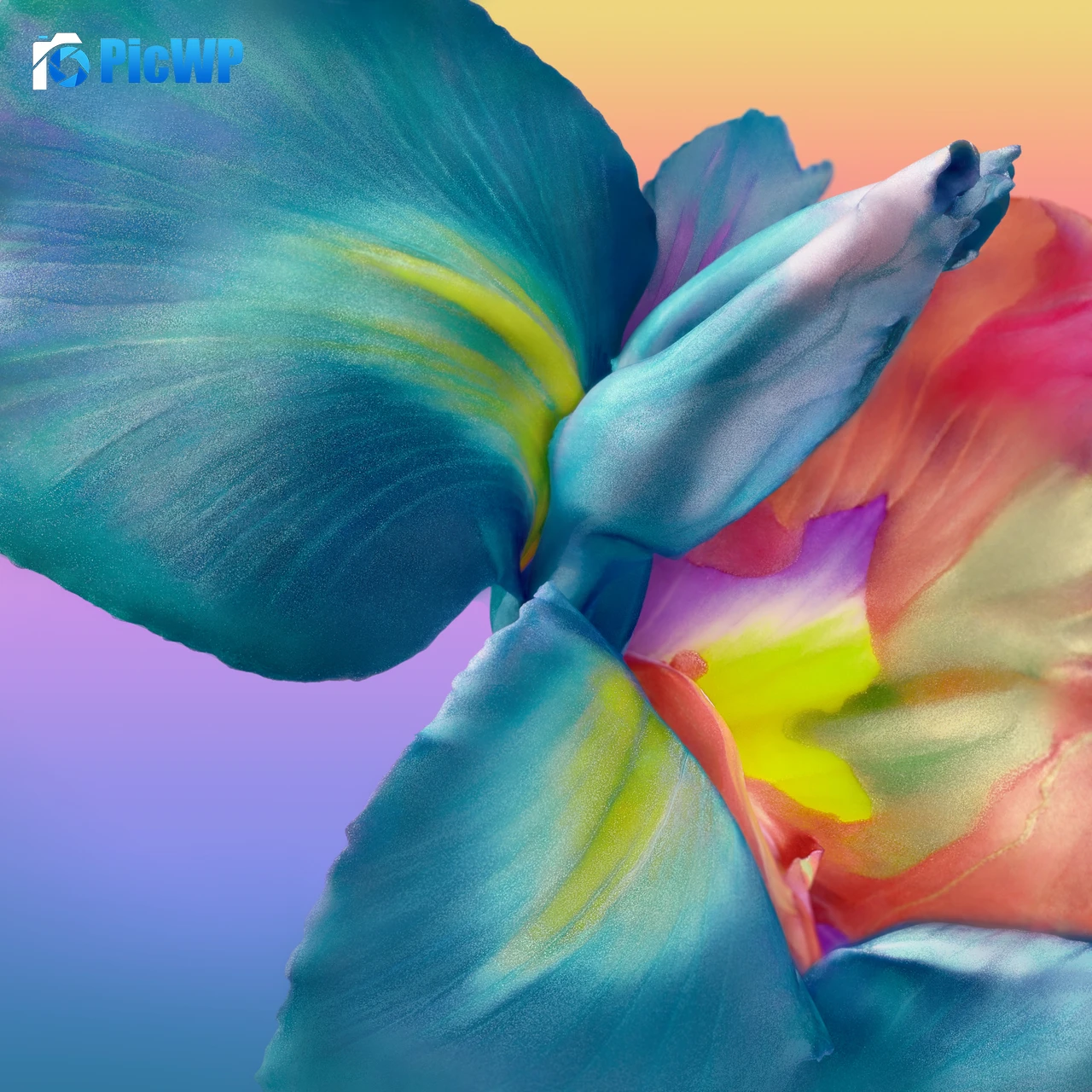 Huawei P40 Pro Colorful 3K Fold Wallpaper