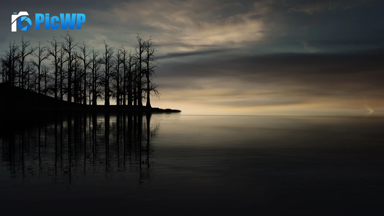 Sunset Dry trees 4K PC Wallpaper