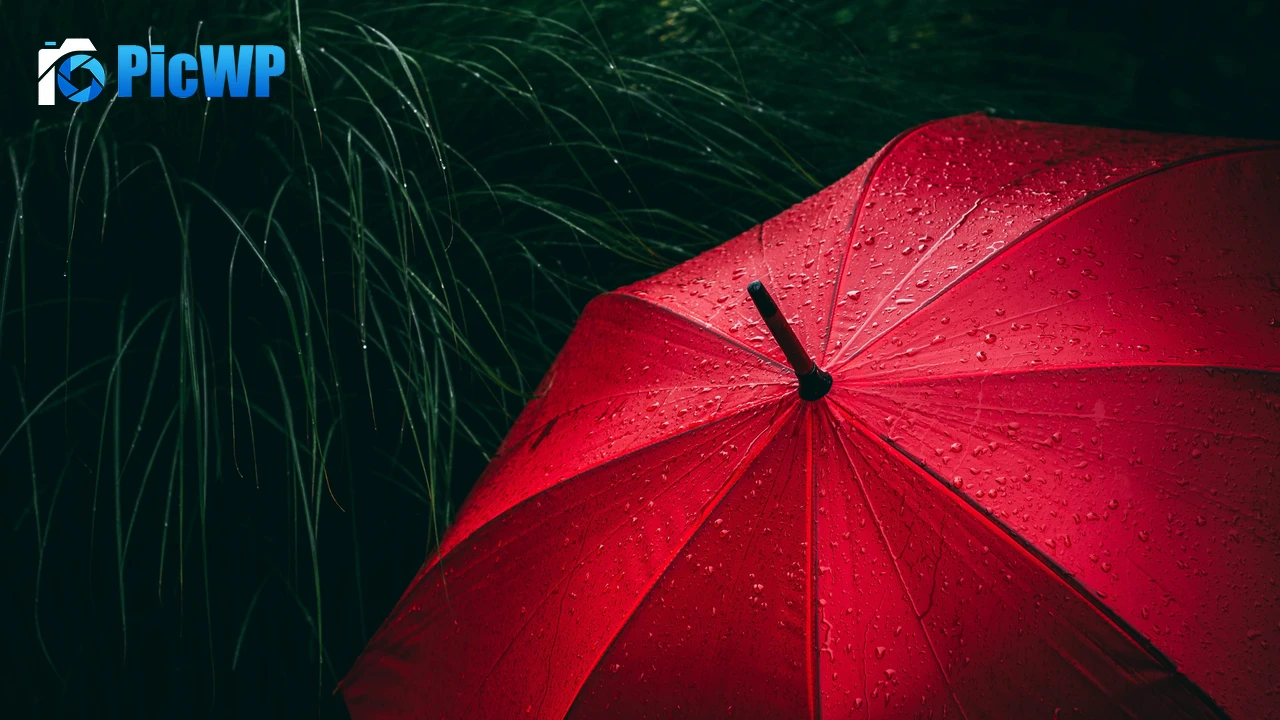 Umbrella Red 4K PC Wallpaper