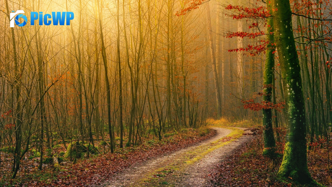 Autumn Wilderness 4K PC Wallpaper