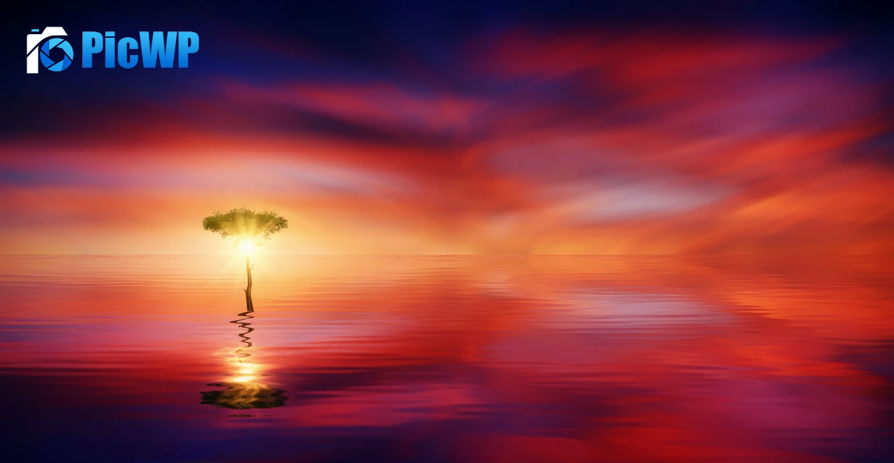 Tree Seascape 4K PC Wallpaper