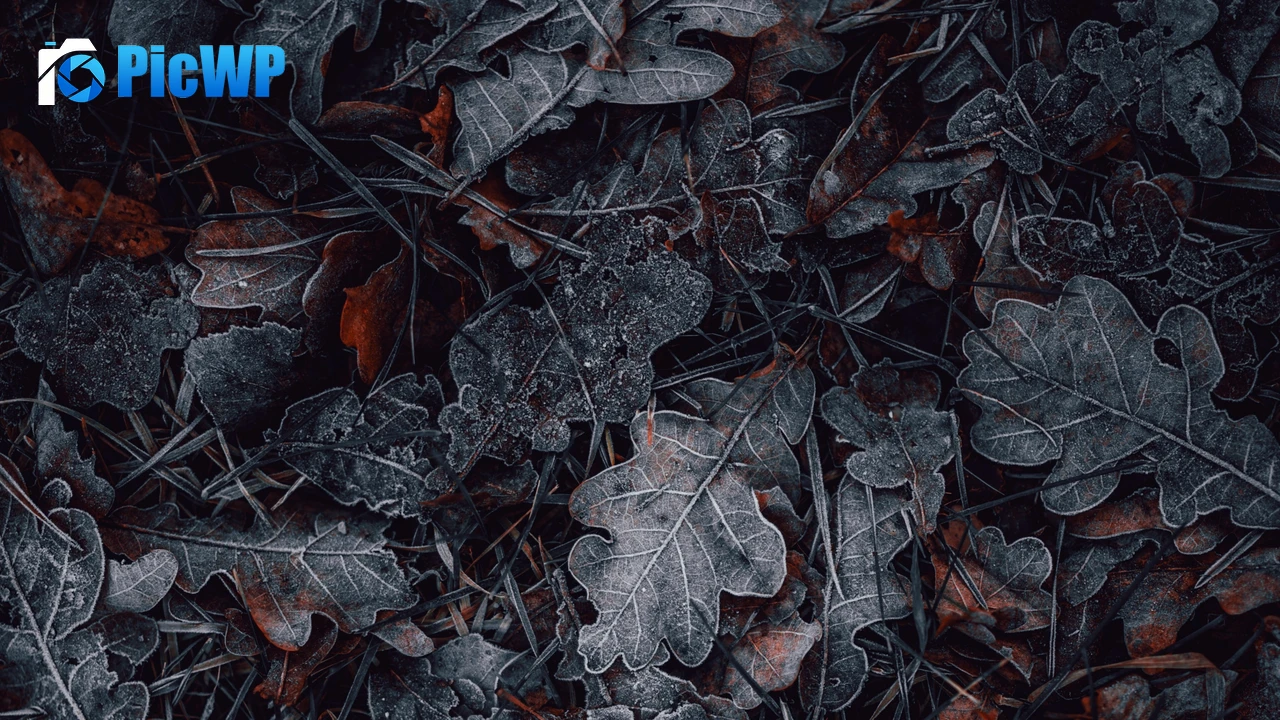 Leaves Frozen 4K PC Wallpaper