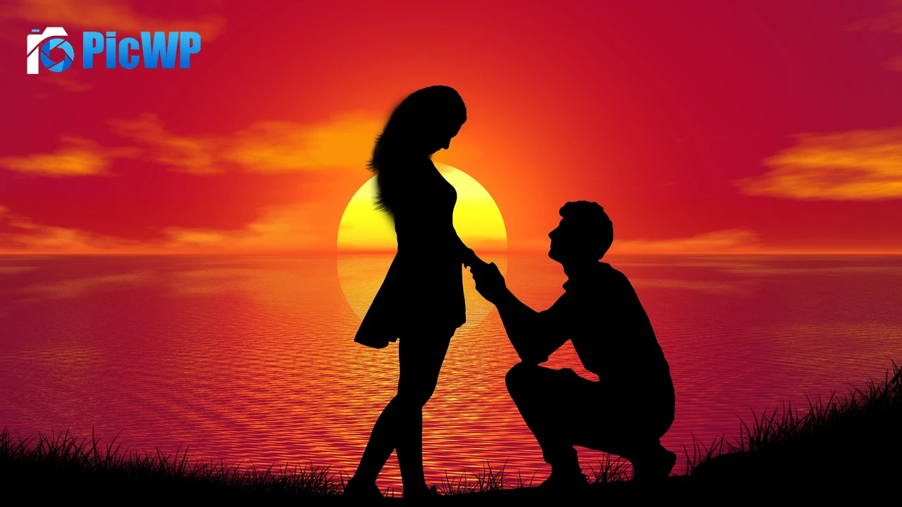 Couple Proposal 4K PC Wallpaper