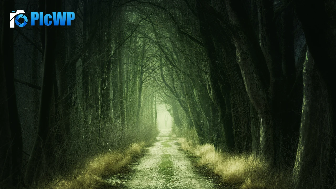 Forest Aesthetic 4K PC Wallpaper