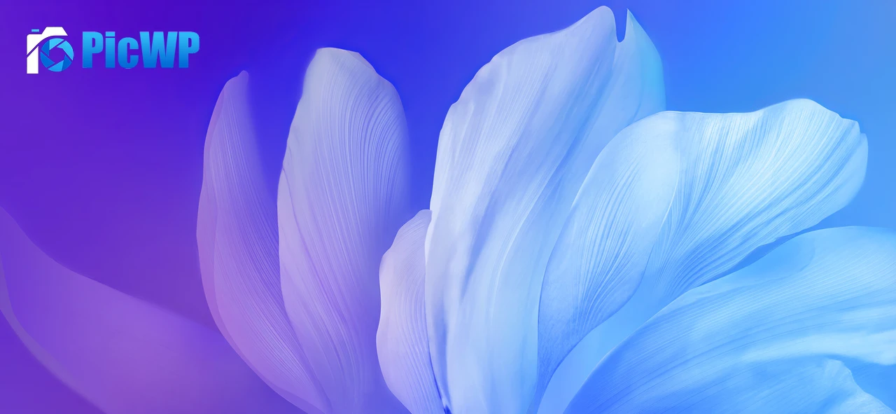 Blue flower Gradient background 5K Wide Wallpaper