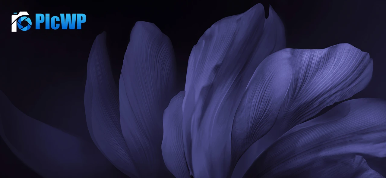 Vivo Stock Floral designs 5K Wide Wallpaper