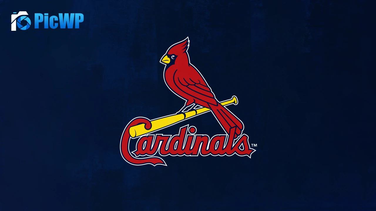 St. Louis Cardinals Baseball team 4K PC Wallpaper