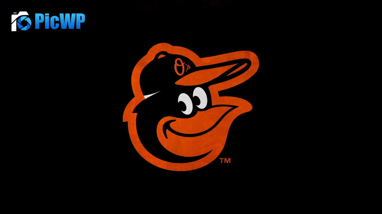 Baltimore Orioles Baseball team 4K PC Wallpaper