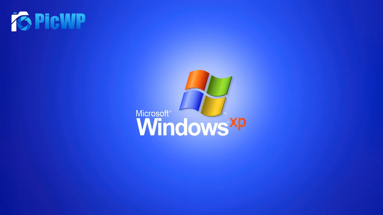 Windows XP Logo 4K PC Wallpaper