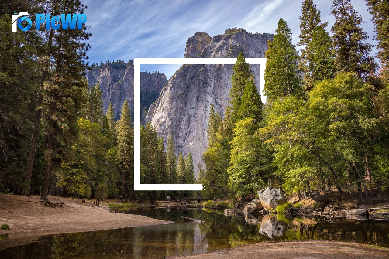 Forest Yosemite National Park 6K PC Wallpaper