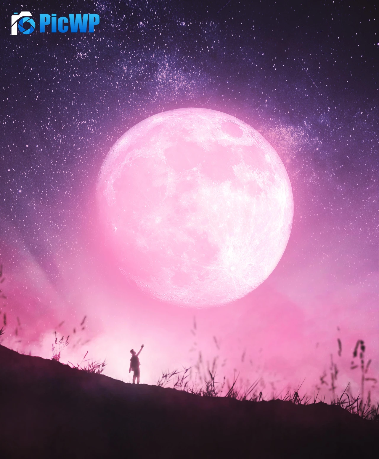 Moon Dream 5K Mobile Wallpaper