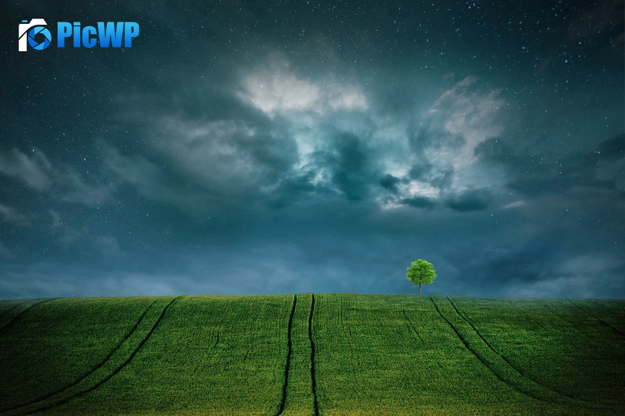 Landscape Lone tree 8K PC Wallpaper
