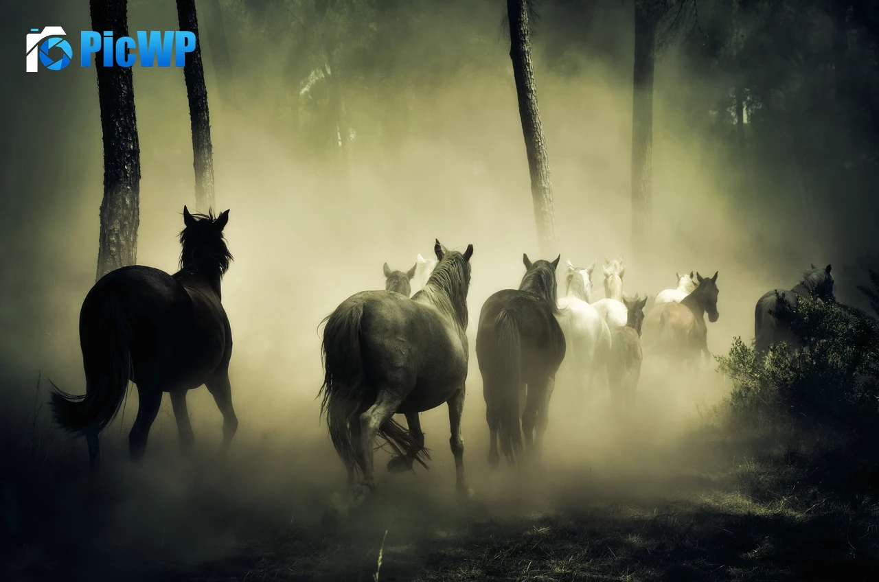 Horses Herd 5K PC Wallpaper