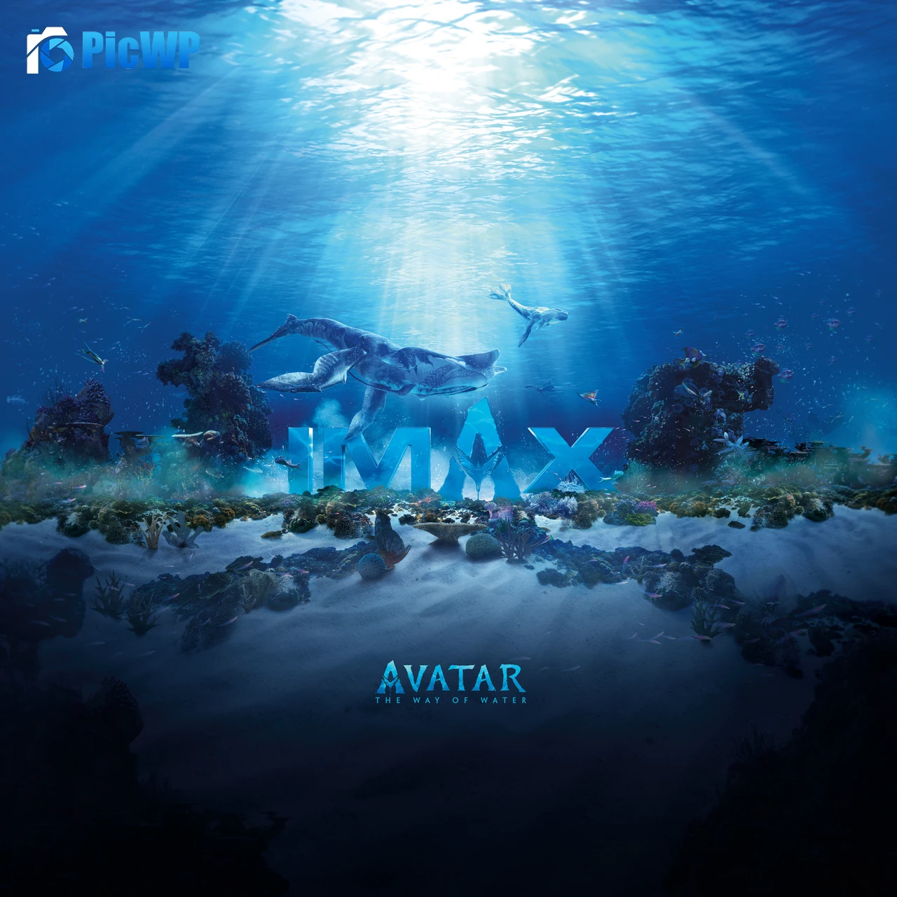 Avatar: The Way of Water IMAX poster 8K Fold Wallpaper