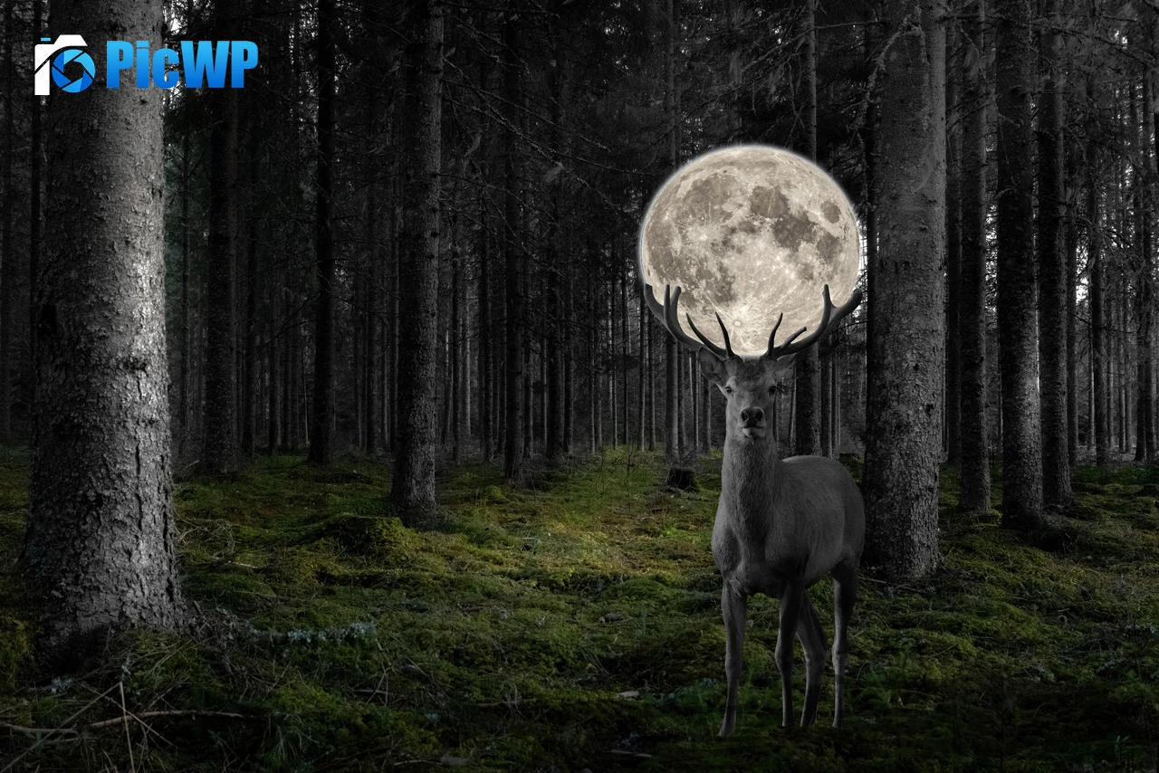 Deer Moon 8K PC Wallpaper