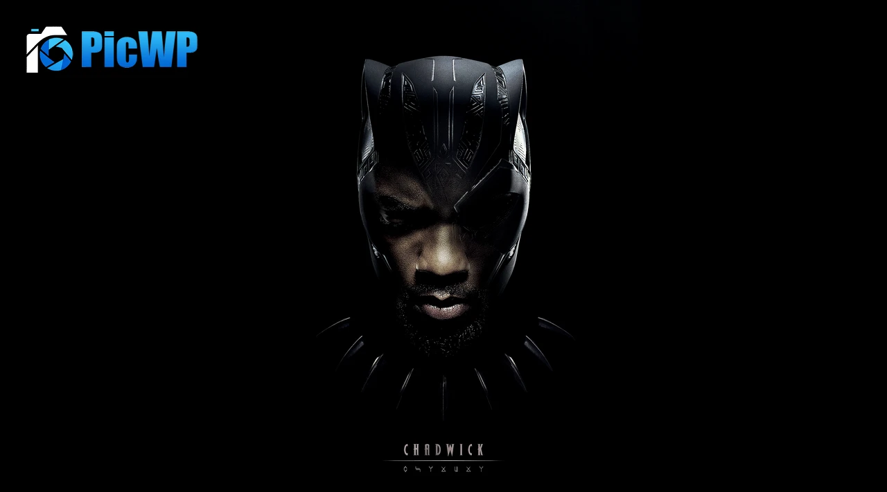 Chadwick Boseman as Black Panther Tribute 5K PC Wallpaper