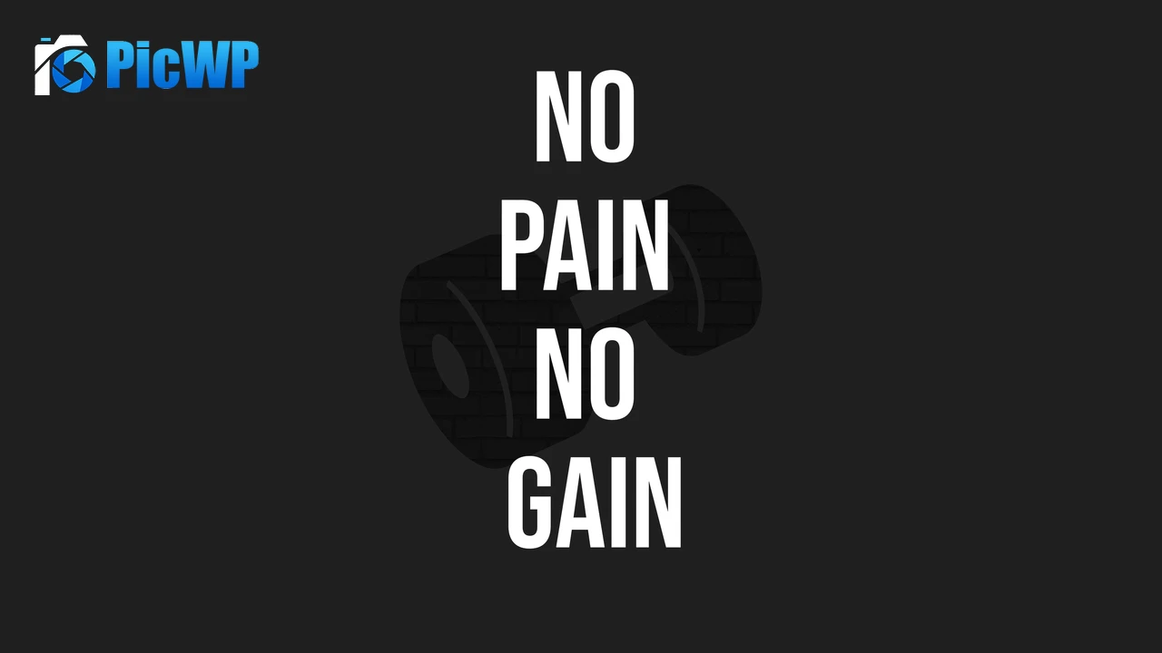 No pain No gain Monochrome 6K PC Wallpaper