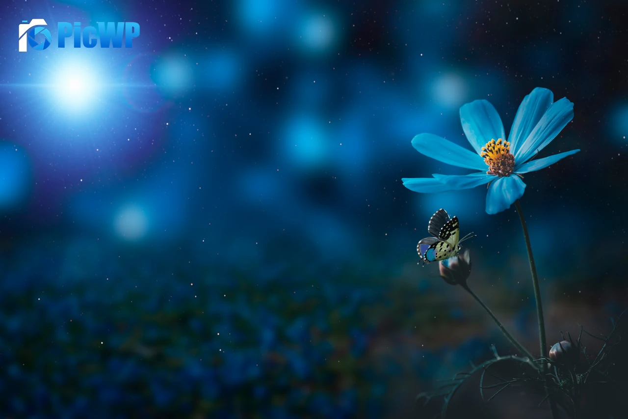 Blue flower Pollination 8K PC Wallpaper