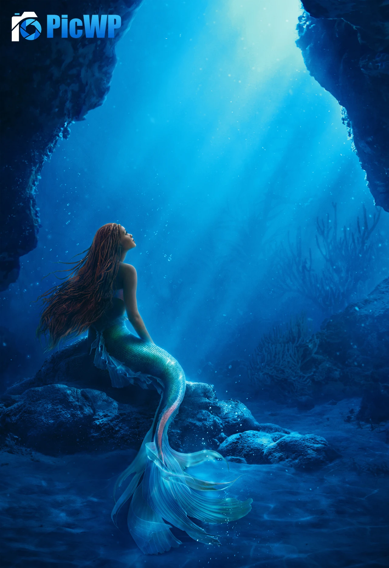 The Little Mermaid Disney movies 8K Mobile Wallpaper