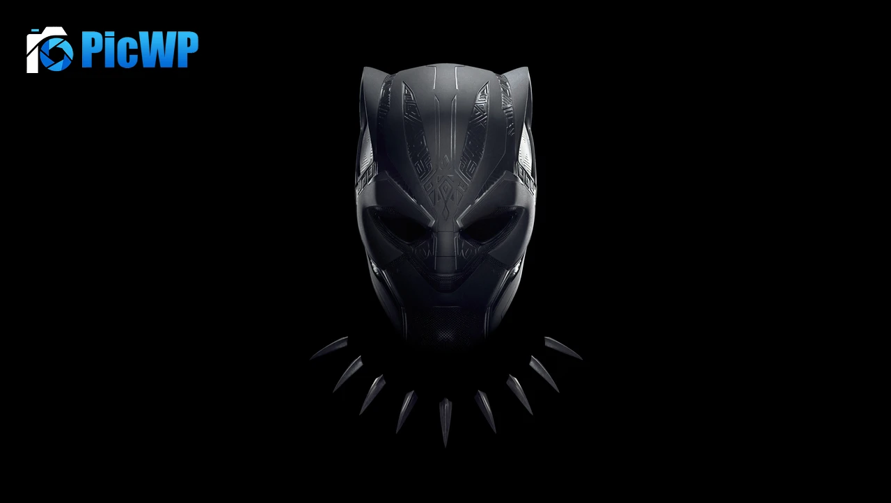 Black Panther 6K PC Wallpaper