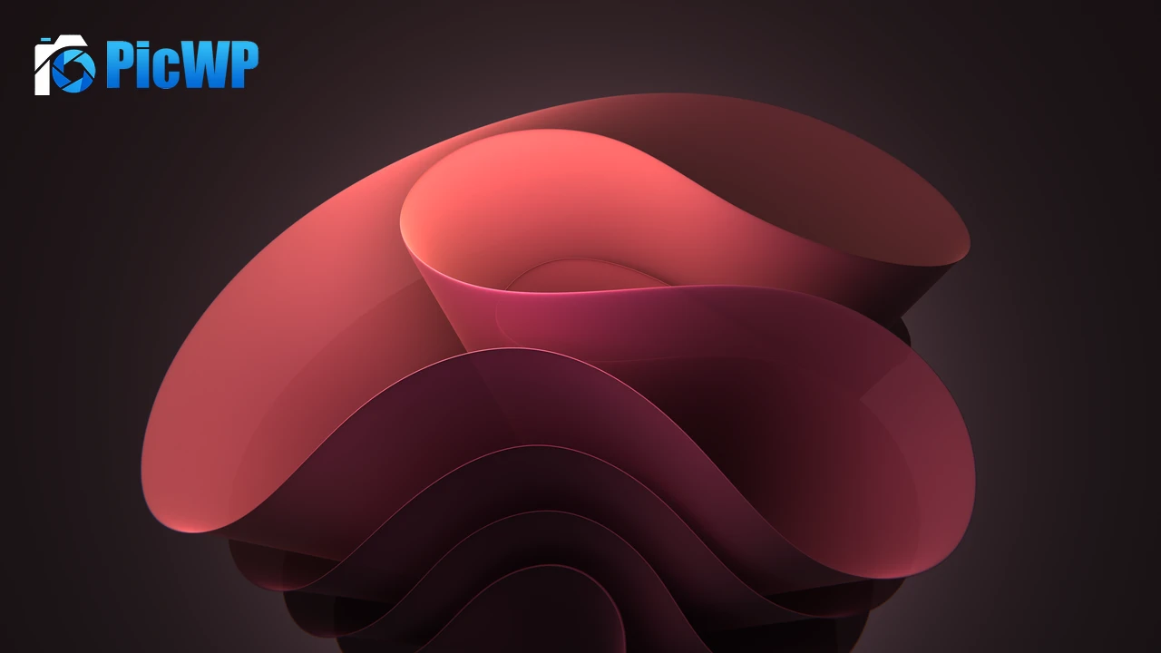 Windows 11 Bloom Red 6K PC Wallpaper