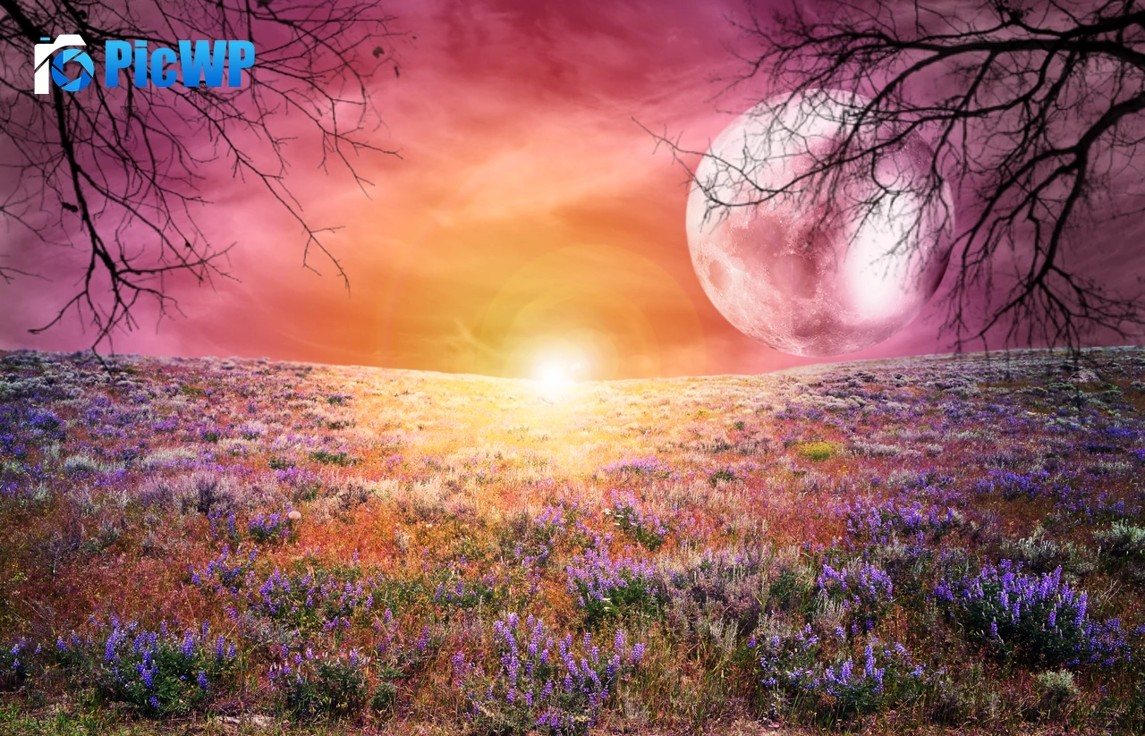 Sunrise Landscape 5K PC Wallpaper