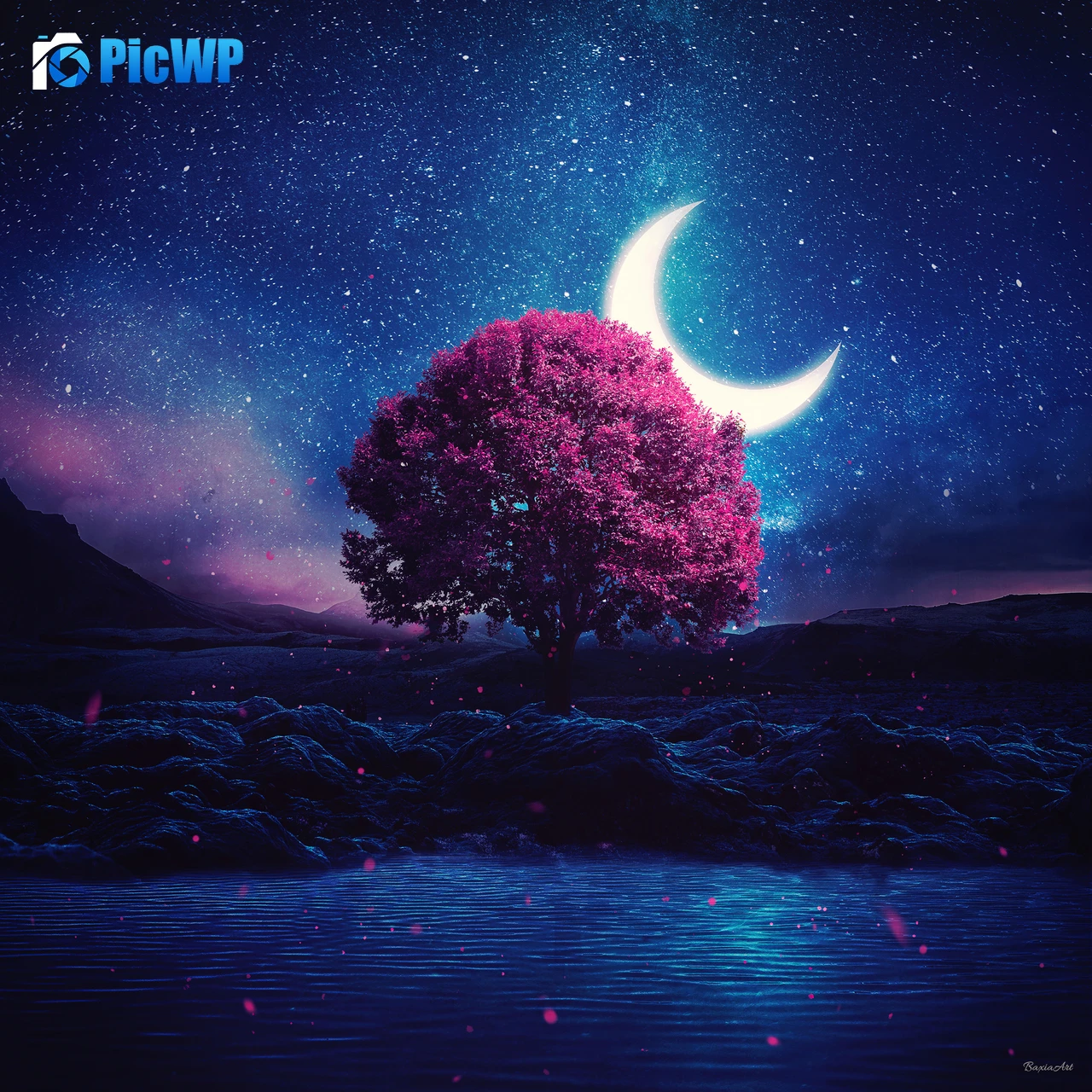 Aesthetic Lone tree 4K Fold Wallpaper