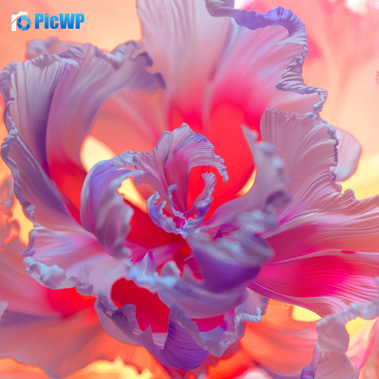 Purple Flower Floral Background 4K Fold Wallpaper