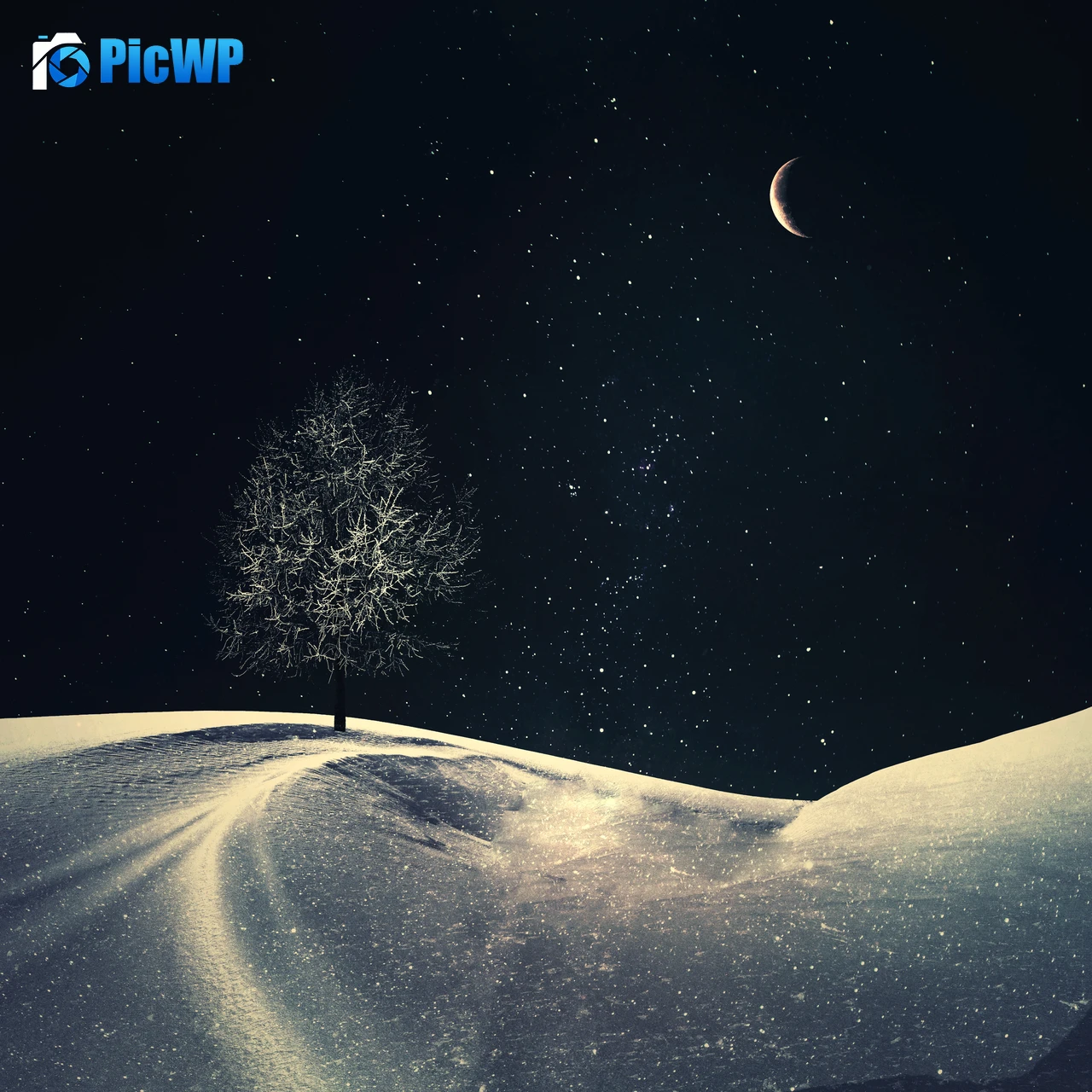 Lone tree Crescent Moon 5K Fold Wallpaper