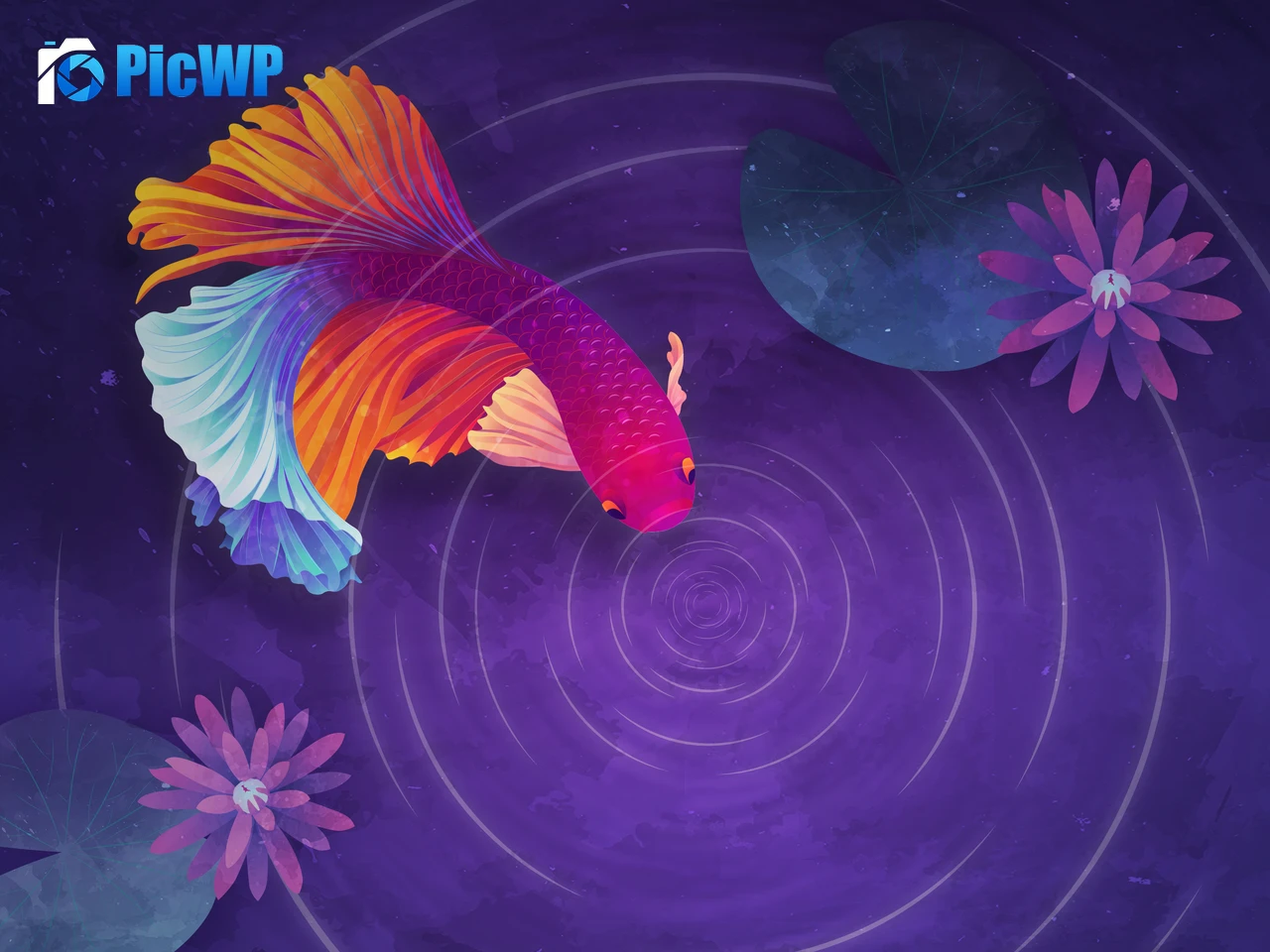 Colorful fish Ripple 4K PC Wallpaper