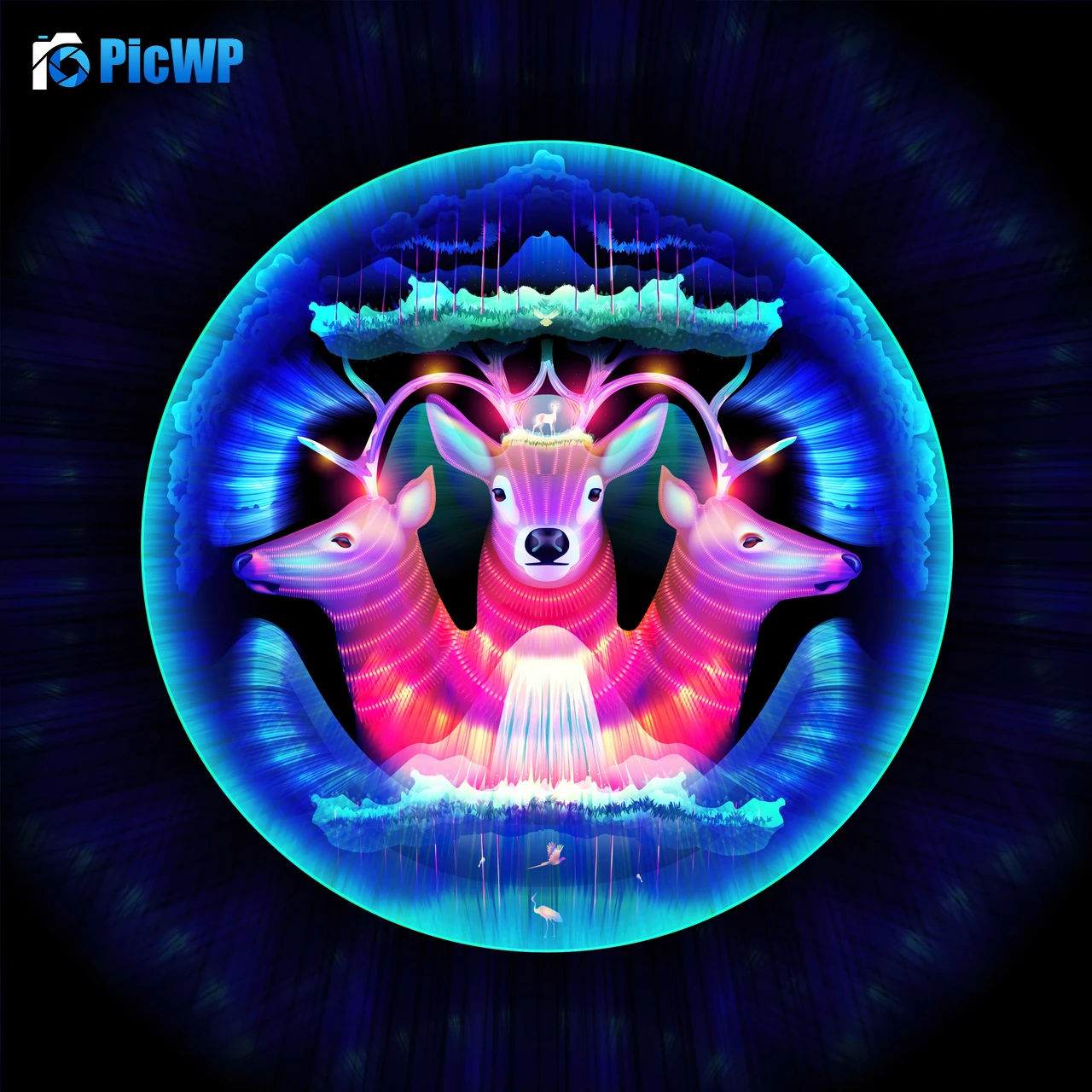 Glowing Colorful 4K Fold Wallpaper