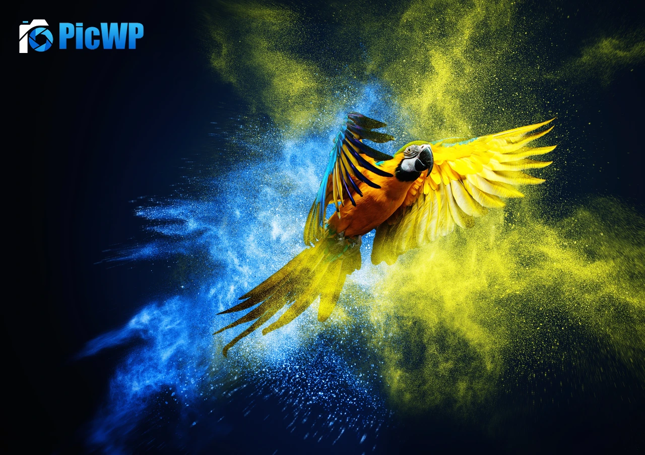 Blue-and-yellow macaw Macaw 7K PC Wallpaper