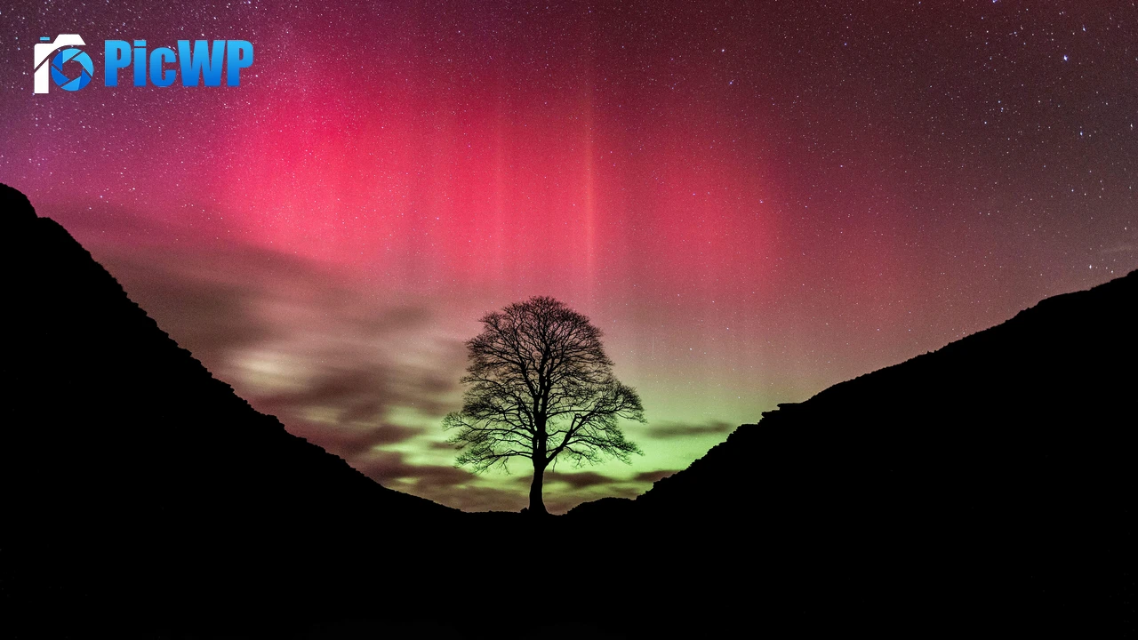 Sycamore Gap Tree Aurora sky 6K PC Wallpaper