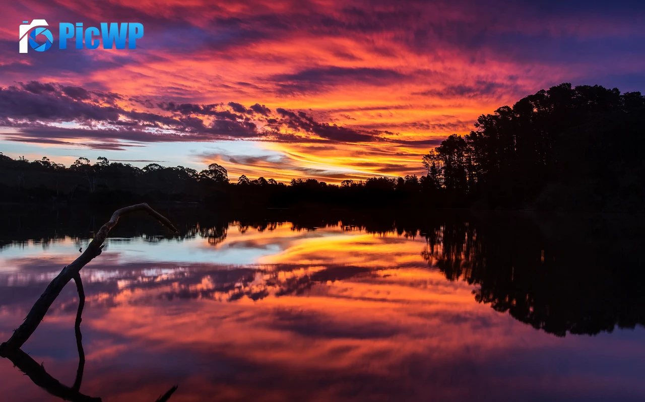 Sunset over a lake with trees 6K PC Wallpaper